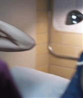 0282.png