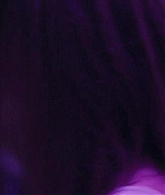 0877.png