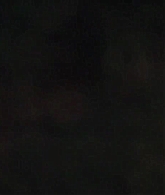 0954.png