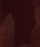 0984.png