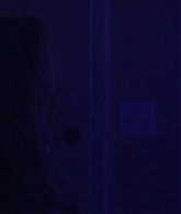 1298.png