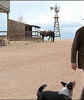 ValleyOfViolence-Caps-230.jpg