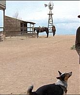 ValleyOfViolence-Caps-233.jpg