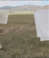 ValleyOfViolence-Caps-291.jpg