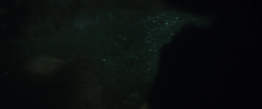 TheNun2018_Caps-4571.jpg