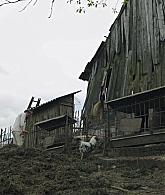 TheNun2018_Caps-0338.jpg