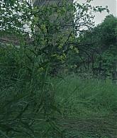 TheNun2018_Caps-0732.jpg