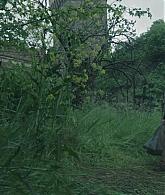TheNun2018_Caps-0733.jpg
