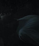 TheNun2018_Caps-3155.jpg