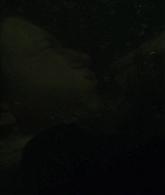 TheNun2018_Caps-4566.jpg