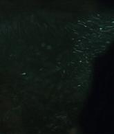 TheNun2018_Caps-4571.jpg