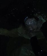 TheNun2018_Caps-4592.jpg
