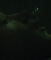 TheNun2018_Caps-4603.jpg