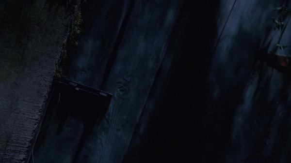 Click to view full size image
==============
305-BurnWitchBurn21-086.jpg 305-BurnWitchBurn21-086.jpg