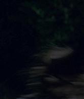 Filename=305-BurnWitchBurn21-073.jpg
Filesize=41KiB
Dimensions=1920x1080
Date added=Sep 03, 2018 305-BurnWitchBurn21-073.jpg