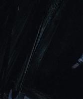 305-BurnWitchBurn21-078.jpg
