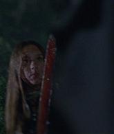 305-BurnWitchBurn21-125.jpg