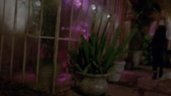 307-TheDead-001.jpg