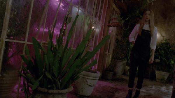 307-TheDead-003.jpg