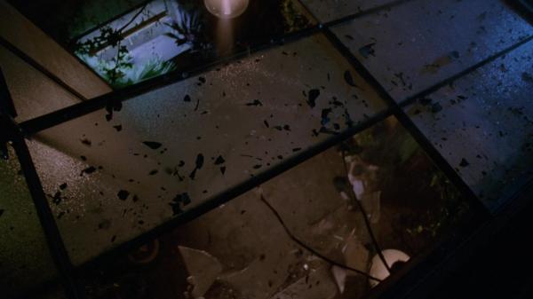 307-TheDead-055.jpg