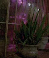 307-TheDead-001.jpg