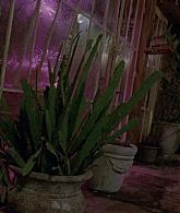 307-TheDead-002.jpg