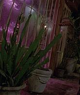 307-TheDead-003.jpg