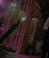 307-TheDead-005.jpg