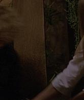307-TheDead-045.jpg
