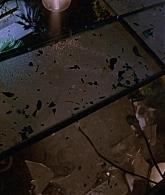 307-TheDead-055.jpg