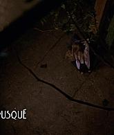307-TheDead-068.jpg