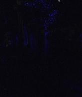 308-TheSacredTaking-226.jpg