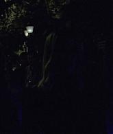 308-TheSacredTaking-230.jpg