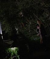 310-TheMagicalDelightsofStevieNicks-129.jpg