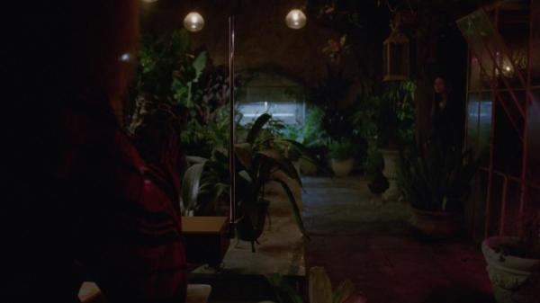 311-ProtectTheCoven-162.jpg
