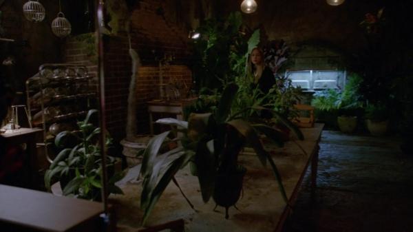 311-ProtectTheCoven-163.jpg