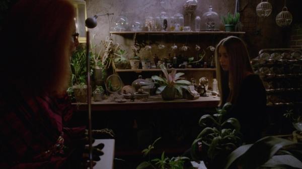 311-ProtectTheCoven-202.jpg