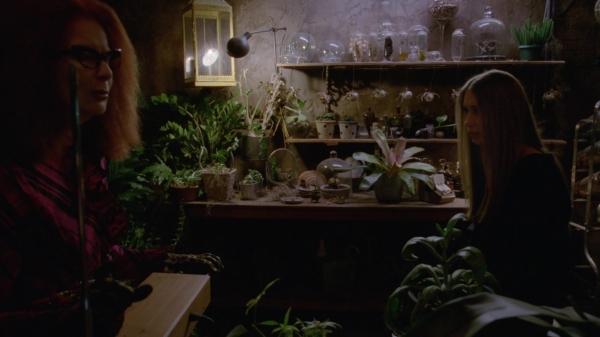 311-ProtectTheCoven-204.jpg