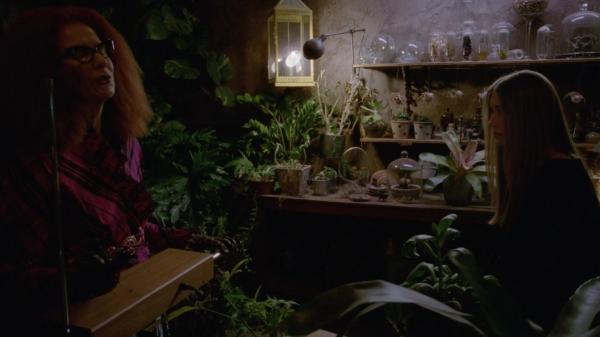 311-ProtectTheCoven-207.jpg