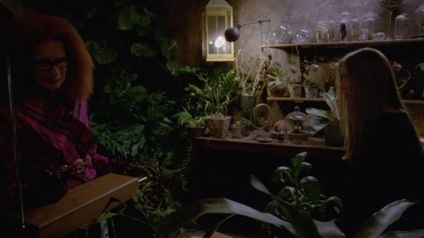 311-ProtectTheCoven-208.jpg