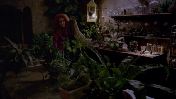 311-ProtectTheCoven-214.jpg