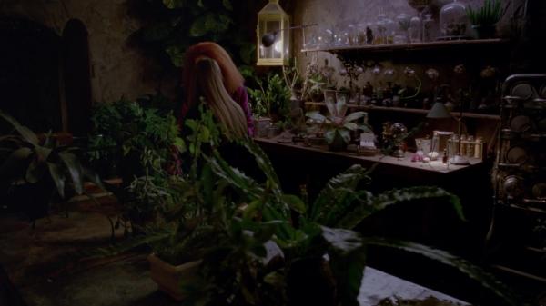 311-ProtectTheCoven-215.jpg