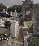 311-ProtectTheCoven-015.jpg