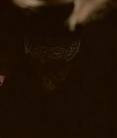 311-ProtectTheCoven-081.jpg