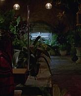 311-ProtectTheCoven-162.jpg