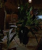 311-ProtectTheCoven-163.jpg