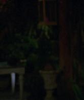 311-ProtectTheCoven-169.jpg