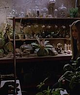 311-ProtectTheCoven-201.jpg