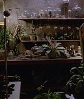 311-ProtectTheCoven-202.jpg