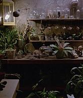 311-ProtectTheCoven-203.jpg